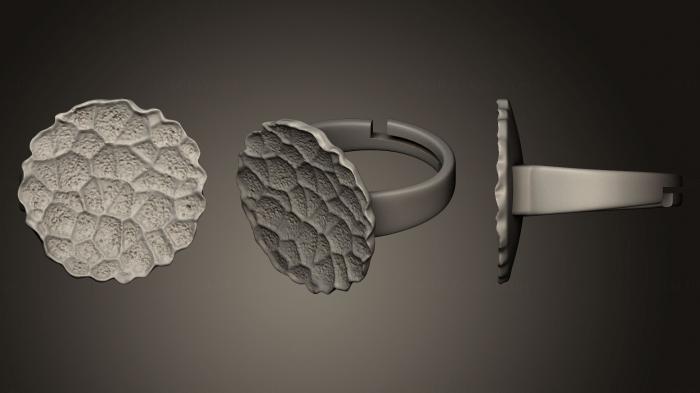 Jewelry rings (JVLRP_0228) 3D model for CNC machine